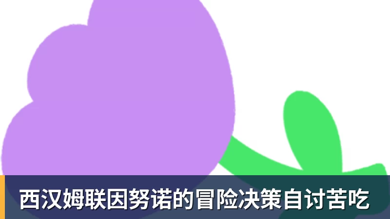 九游体育西汉姆联因努诺的冒险决策自讨苦吃